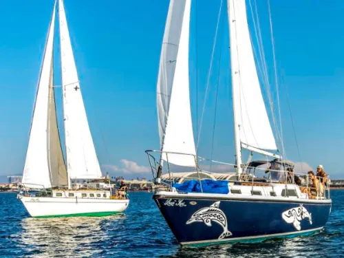 Two San Diego Sailing Tours sailboats on the water of San Diego Bay