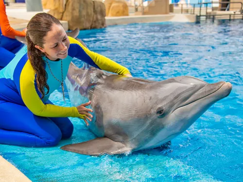 Experience Awe-Inspiring Animal Presentations