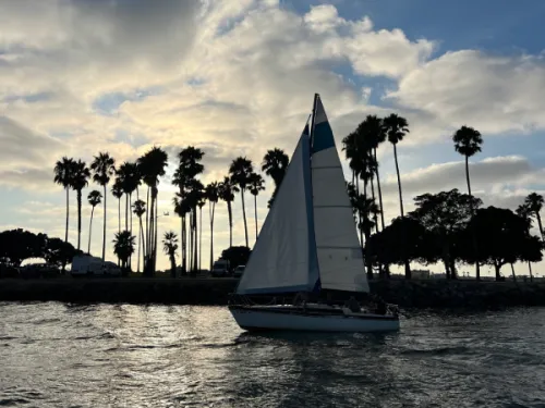 The Seaforth Boat Rentals travels on Mission Bay at sunset with tall palm trees in the distance
