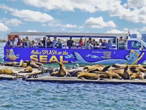 San Diego SEAL Tours