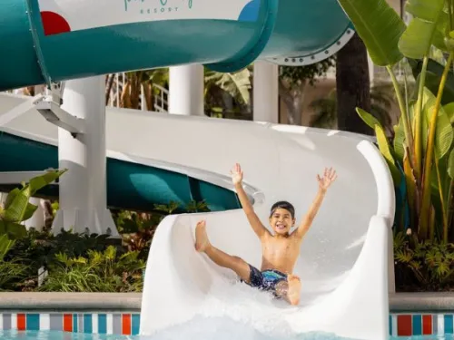 Hotel Pools and Water Slides