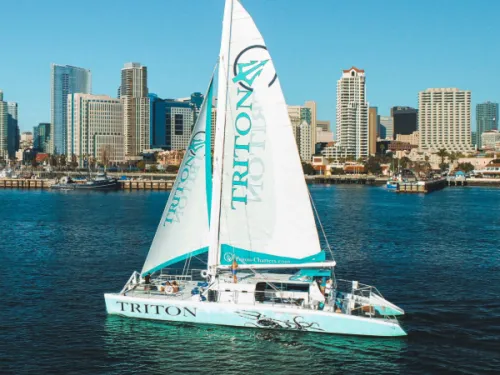 The turquoise and white Triton Catamaran Charters boat travels on the bay with Downtown San Diego's skyline behind