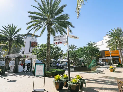 Shop ‘til you Drop