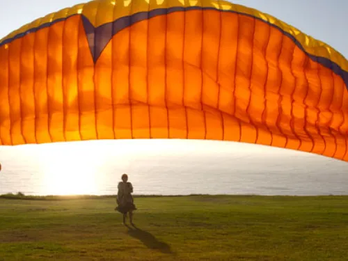 Get a Bird's Eye View