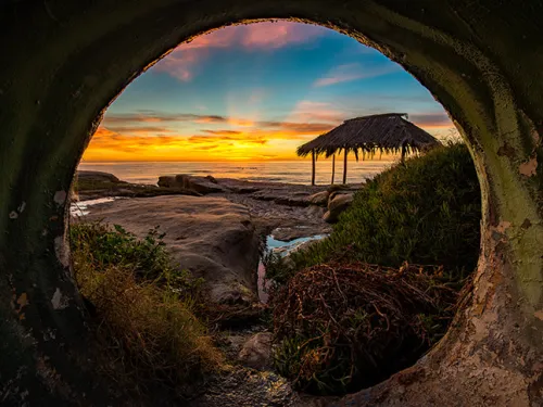 Windansea Beach