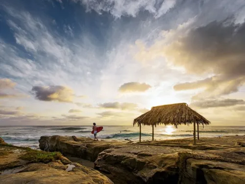 Find the Perfect Surf Spot