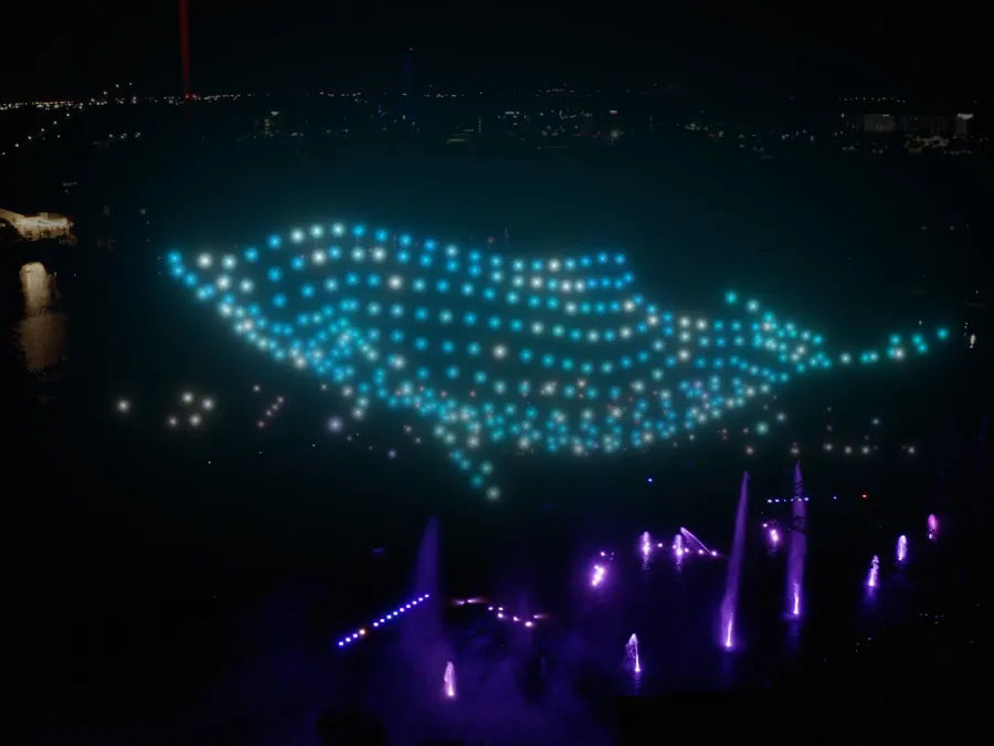 Colorful light display forming a dolphin shape over a dark landscape.