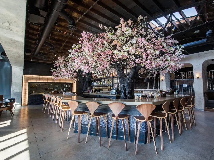 Elegant Cloak & Petal interior featuring a large cherry blossom tree and a curved bar with wooden stools.