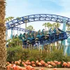 Manta roller coaster at SeaWorld San Diego twists over a group of pink flamingos in a lush park setting.