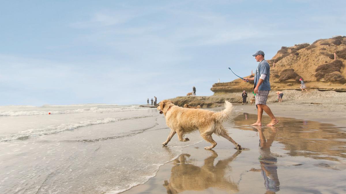 Doyle Community Dog Park – La Jolla