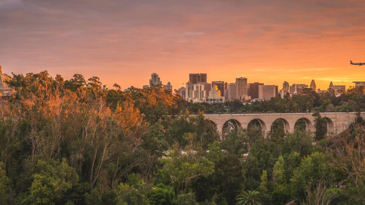 Balboa Park San Diego | Museums, History, Gardens, Tours and more!